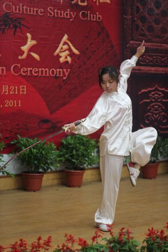 太极竖.jpg